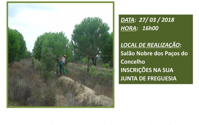 AodesensibilizaoeinformaonoambitodaDefesadaFlorestaContraIncndios_F_0_1591379531.