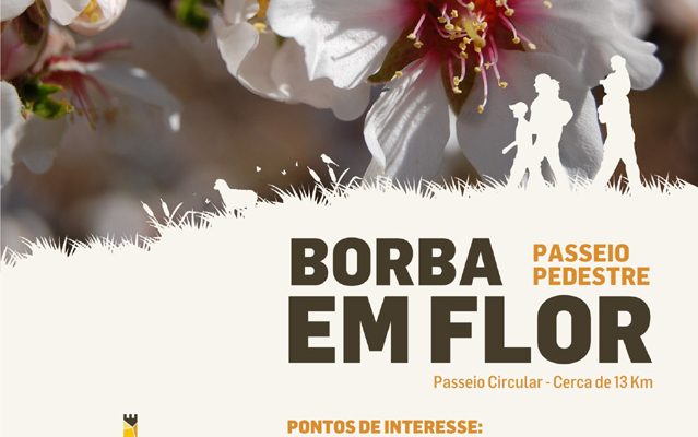 PasseioPedestreBorbaemFlor_F_0_1591379590.