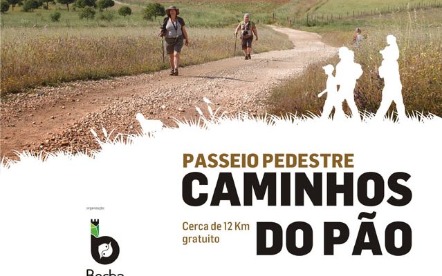 PasseioPedestreCaminhosdoPo_F_0_1591379880.