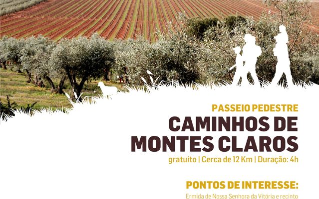 PasseiopedestreCaminhosdeMontesClaros_F_0_1591379609.