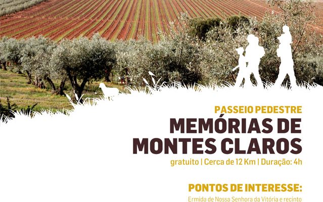 PasseiopedestreMemriasdeMontesClaros_F_0_1591379445.