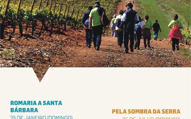 PasseiosDescobertadeBorba2015_F_0_1591379861.
