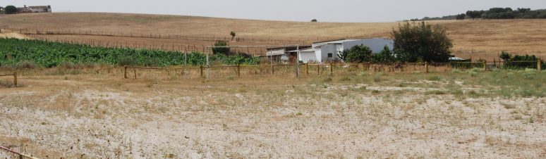 Campo Futebol de Orada