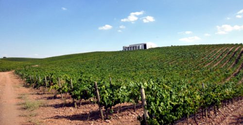 Herdade do Penedo Gordo