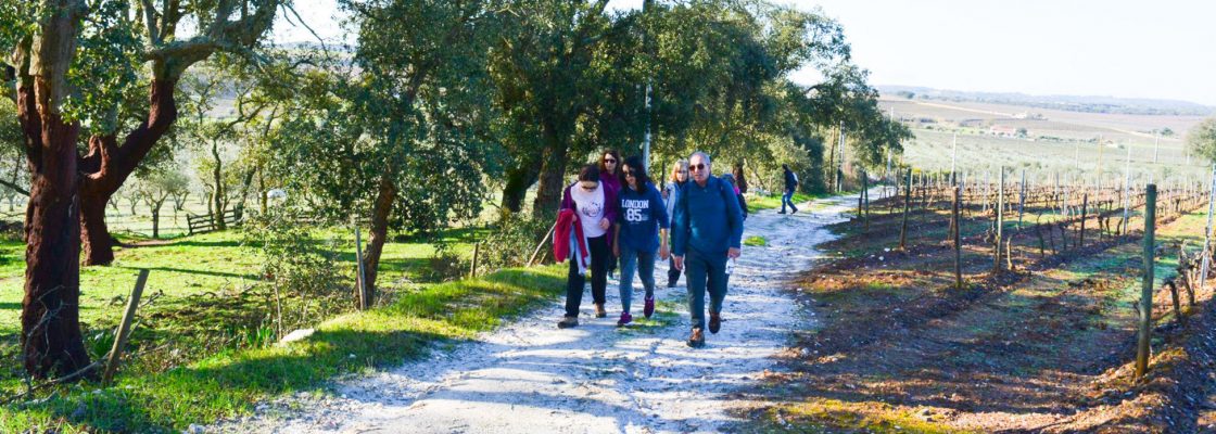 Passeio Pedestre Ribeira da Orada e Monte da Azenha Branca