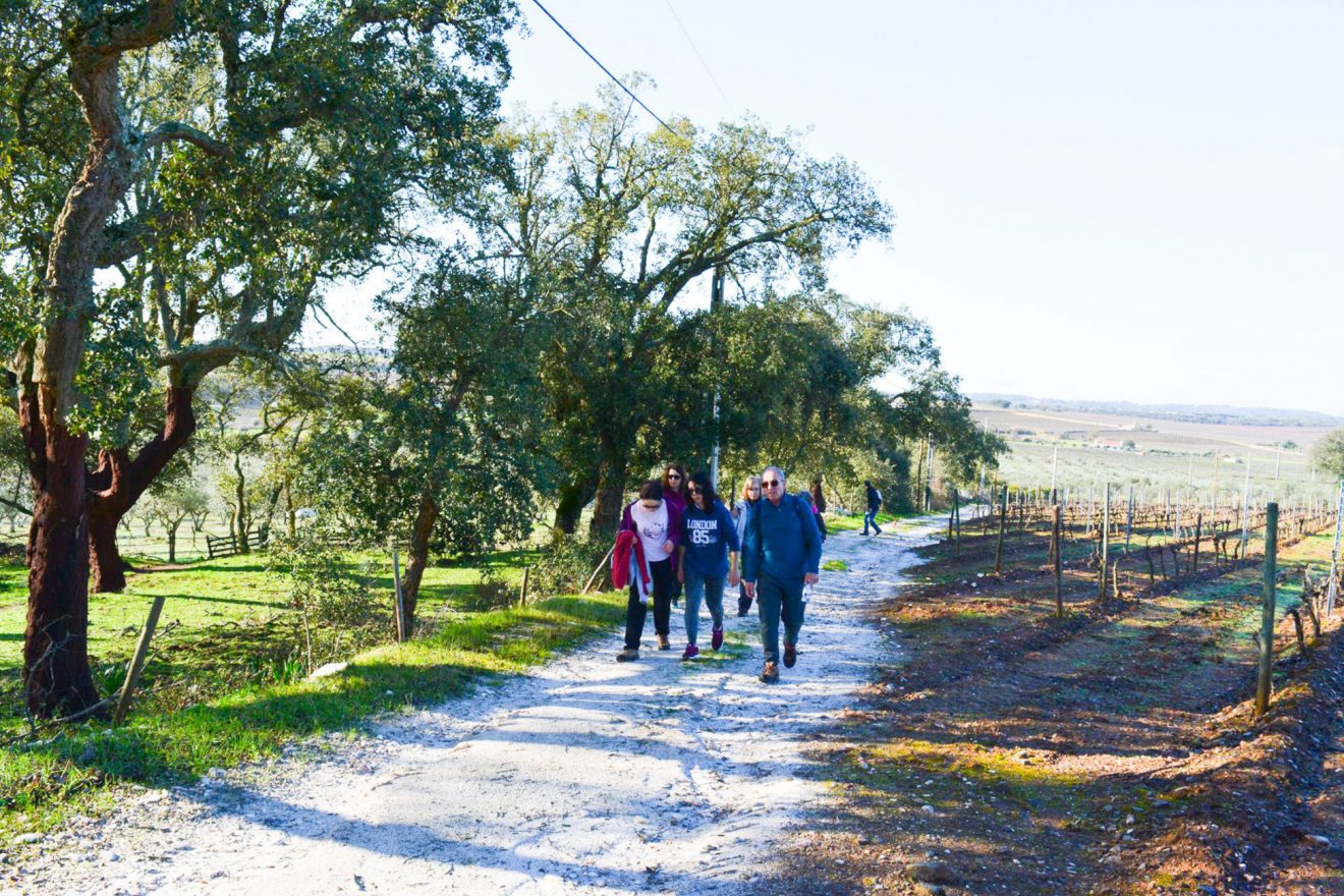 [:pt]Passeio Pedestre Ribeira da Orada e Monte da Azenha Branca[:]