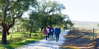 Passeio Pedestre Cores de Abril