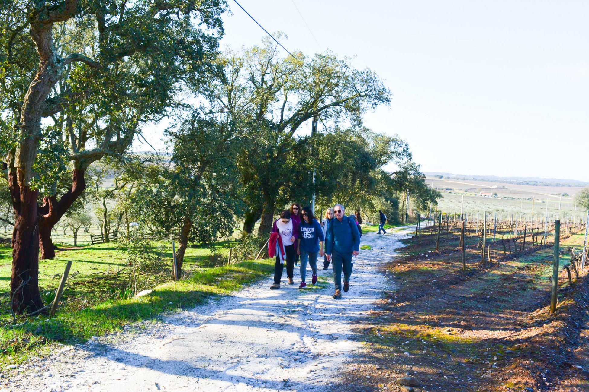 Passeio Pedestre Cores de Abril