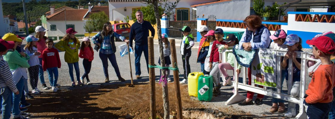 Plantação de sobreiro em Rio de Moinhos no Dia da Árvore