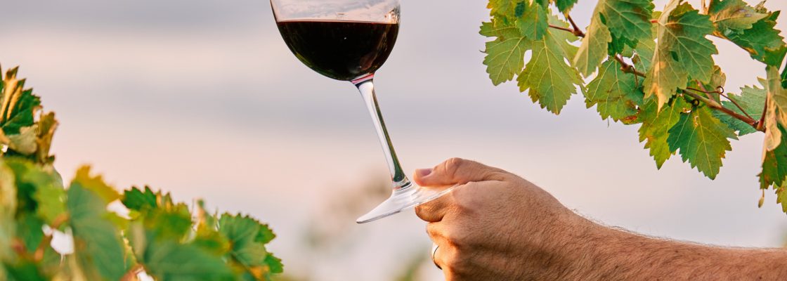 Há 10 Vinhos de Borba no “Concurso Cidades do Vinho 2023”
