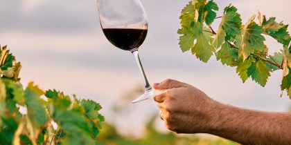 Exposição Os Vinhos de Borba