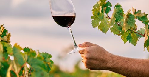 14 vinhos de Borba no Concurso Cidades do Vinho 2025