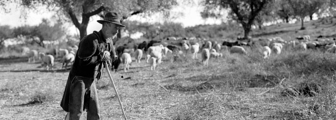 Exposição De sol a sol – Memórias do Alentejo