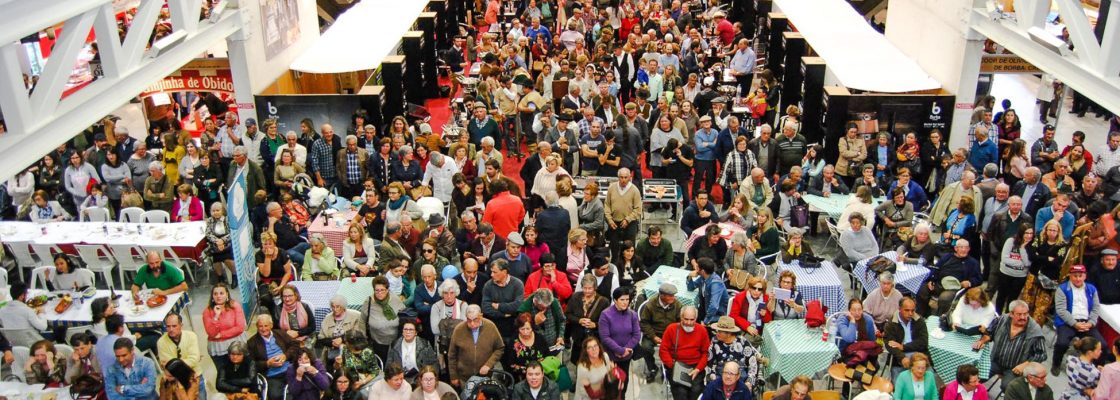 Festa da Vinha e do Vinho candidata a Galardão Europeu