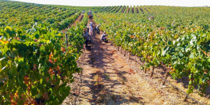 Gala de Abertura – Cidade do Vinho 2025