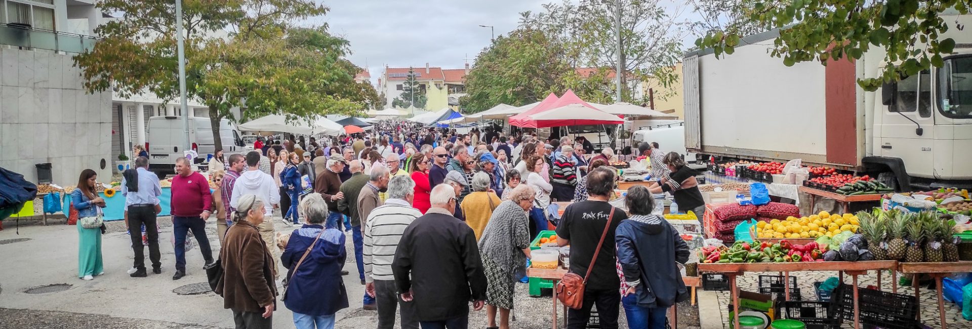 Feira dos Santos